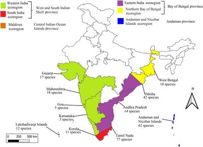 Diversity of Indian <mark class="highlighted">Barnacles</mark> in Marine Provinces and Ecoregions of the Indian Ocean